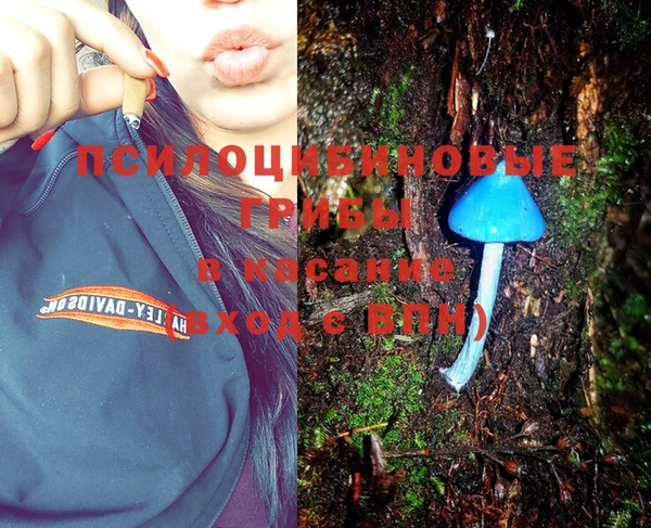 альфа пвп Гусиноозёрск