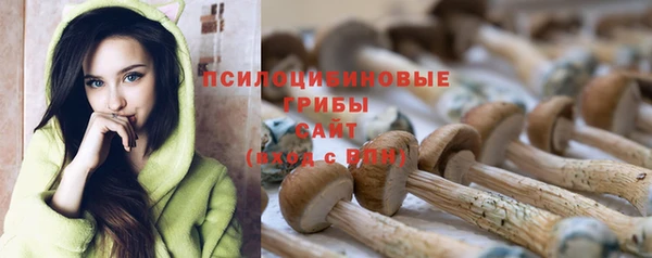 героин Гусь-Хрустальный