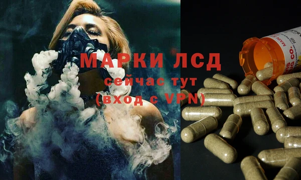 гидропоника Гусев