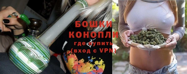 гидропоника Гусев