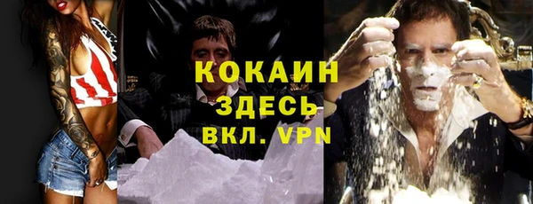 гидропоника Гусев