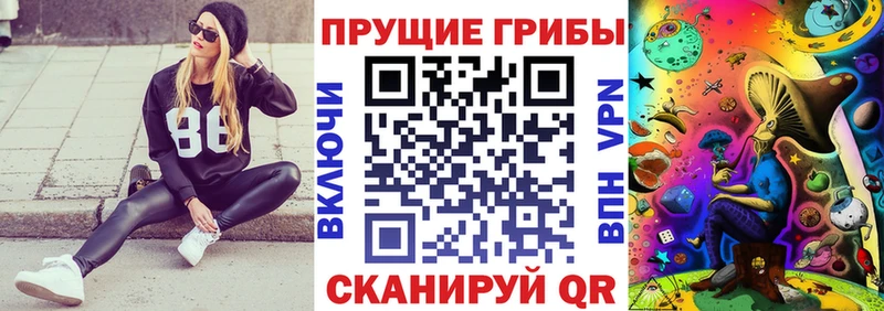 где купить наркоту  Керчь  Галлюциногенные грибы мицелий 
